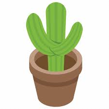 Cacti Cactus Pot Plant Succulent