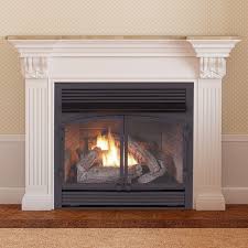 Dual Fuel Ventless Gas Fireplace Insert