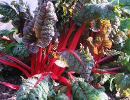 Create A Balcony Vegetable Garden