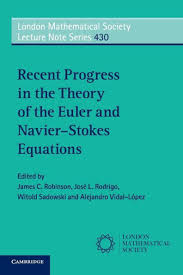Navier Stokes Equations Hamilton