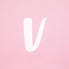 Vinted Icon