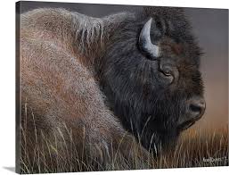 American Icon Bison Large Solid Faced Canvas Wall Art Print Great Big Canvas