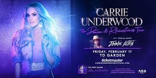 Carrie Underwood Td Garden