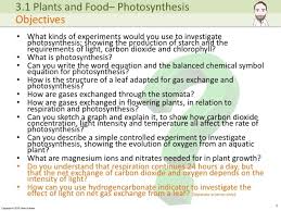 Igcse Photosynthesis Presentation
