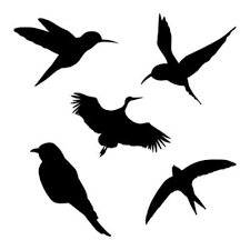 Bird Shape Vector Art Icons And