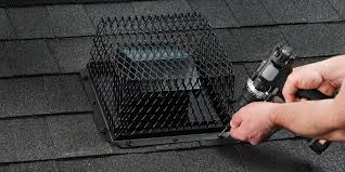 Roof Vent Guards