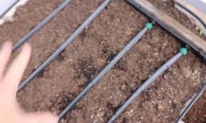 Raised Bed Watering System Must Know