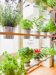 Diy Hanging Herb Garden