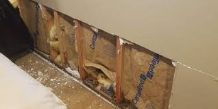 How To Find A Water Leak Behind Drywall