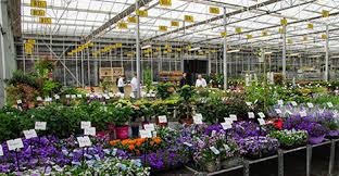 Companies Eu Gardens