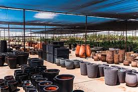 Plant Nursery With All Your Gardening