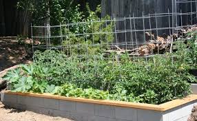 Cinder Block Garden Cinder Block