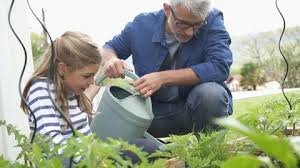 Vegetable Gardening Stock Footage