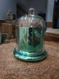 Glass Bell Jar With Green Touch At Rs