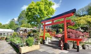 20 Garden Centres And Nurseries Around