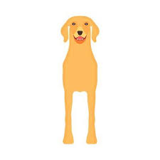 Dog Front Vector Art Icons And