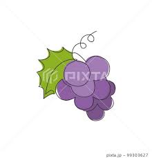 Line Drawing Healthy Organic Grape
