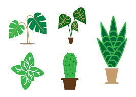 House Plant Icon Set Ilration Clipart