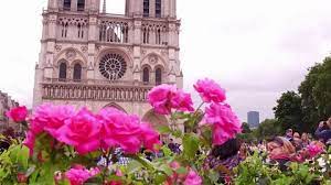 Notre Dame Cathedral Establishing From