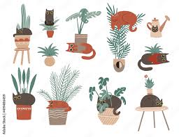Collection Of Cute Feline Characters