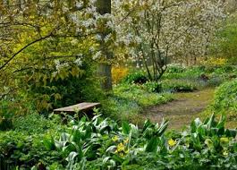 Your Garden Into A Woodland Wonderland