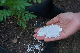 Calcium Nitrate Fertilizer How To Use