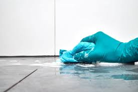 How To Clean Shower Floors Removing 5