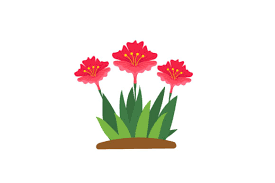 Spring Cute Flowers Flat Icon Graphic