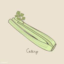 Traditional Tattoo Drawings Celery