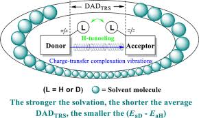 Hydride Kinetic Isotope Effects