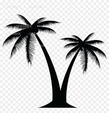 Transpa Background Palm Tree Png