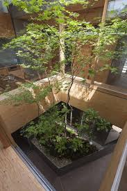 Urban Home With Two Story Inner Tree Garden