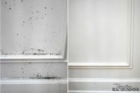 Remove Mold From Your Home And Keep It