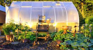 Summer Greenhouse What Should I Grow