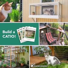 Diy Catio Plans Catio Spaces