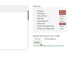 Theme Editor Limesurvey Manual