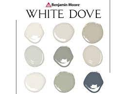 White Dove Paint Palette Benjamin
