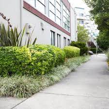 Superior Gardening Service Seattle