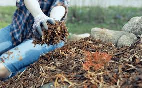 The Complete Guide To Winter Mulching