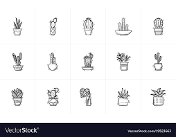 Flowers Sketch Icon Set Vector Image