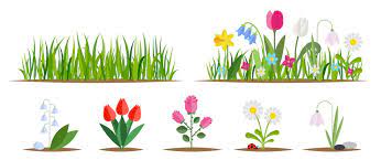 Spring Bulbs Vector Images Browse 19