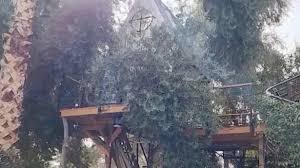 Tear Down Autistic Daughter S Treehouse