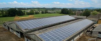 Agricultural Solar Panels