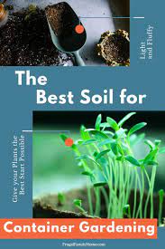 The Best Soil For Container Gardening