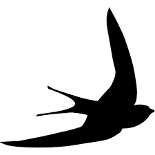 Swift Bird Shape Free Vector Icons