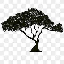 Tree Black And White Clipart Images For