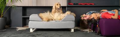 Patterned Dog Beds Omlet