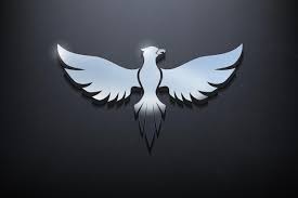 Bird 3d Logo Design Shiny Mockup Logo