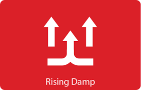 Rising Damp Treatment Solutions To