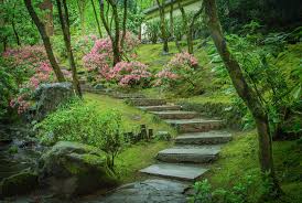 The Portland Japanese Garden Beckons